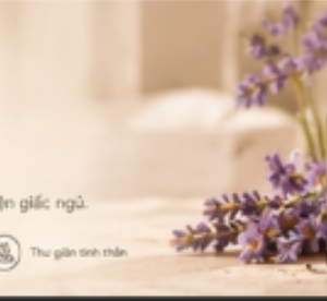 Tinh Dầu Nến Thơm SENTIA